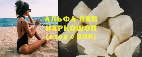 сатива Белая Холуница