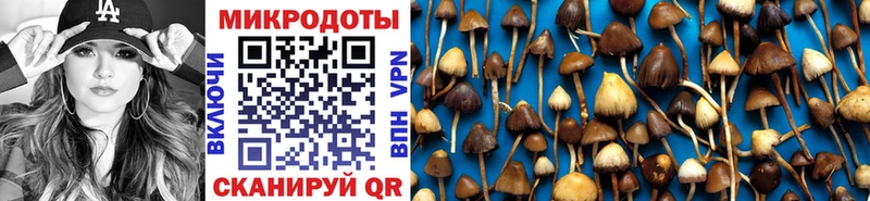 Псилоцибиновые грибы Magic Shrooms  Беломорск 